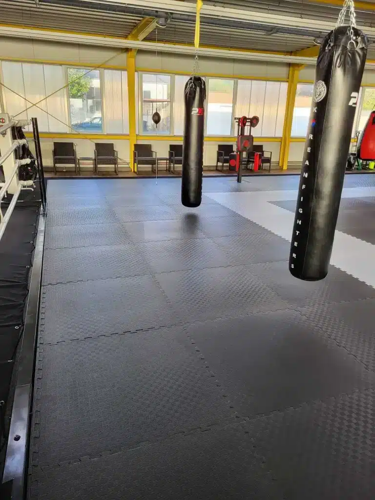 Kampfkunstschule Korean Fighters Werl - Trainingsbereich - Boxsäcke - 1 Trainingsfläche im Dojang der Korean Fighters Werl: große Mattenfläche mit hängendem Boxsack, links ein Boxring mit Seilen; im Hintergrund Stuhlreihe an der Fensterfront und Trainingsgeräte – Bereich für Kickboxen/Pratzentraining.